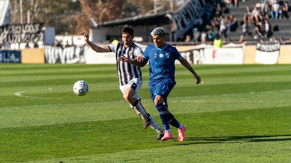 Welche Pflanzen eignen sich am besten für Innenräume?